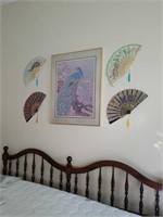 Peacock picture & fans