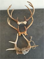 3 sets of deer antlers