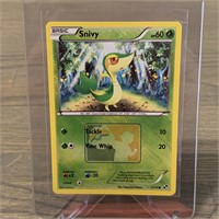 Pokemon League Snivy Crossed Hatched