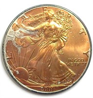 2001 Silver Eagle Golden Toning