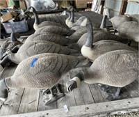 12 - Bigfoot Canadian Goose Decoys