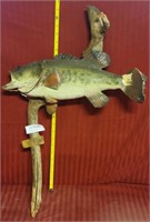 TAXIDERMIED LARGE MOUTH BASS