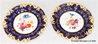 A Pair of Ridgway Botanical Cabinet/Dessert Plates