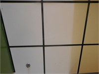 Ceiling tile  +/- 100 ceiling tiles