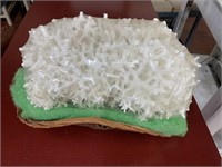Large piece of Sea Coral in a basket.