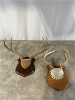 Deer antler mounts, set of 2