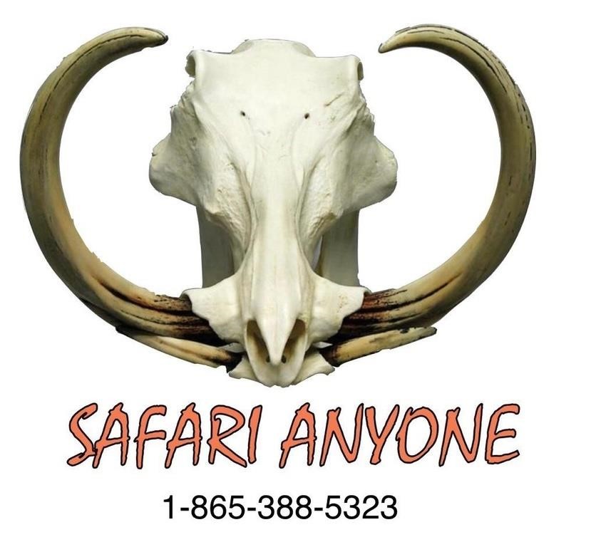 Clays for Children Benefit Safari Auction
