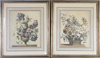 Pair of Botanical Color Engravings, French