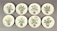 8 Decorative 8" Herb Plates