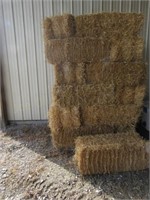 (19) Bales of Straw