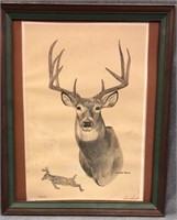 Lawrence Crowell Whitetail Drawing