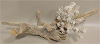 13" X 5" Coral On Driftwood