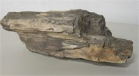 Piece Of Petrified Wood - 11.5" x 5" x 4"