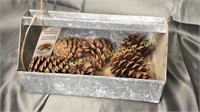 Metal caddy 10in with pine cones