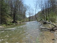 Ashe Co., Mountain Land with Trout Stream Auction