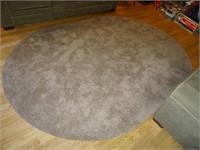 Area Carpet Rug