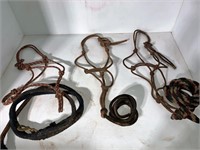 3 rope halters & 3 leads