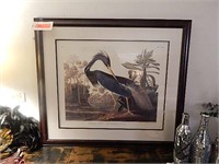 Artwork framed Louisiana blue heron
