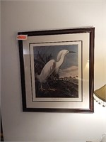 Framed artwork Snowy white heron