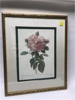 Framed Botanico print