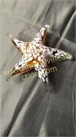 Art glass starfish paper weight