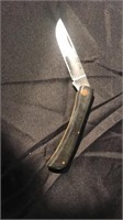 Stainless Case Pocket knife