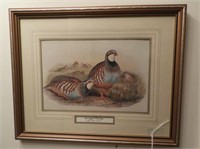 Red-Legged Partridge hand colored stone etching