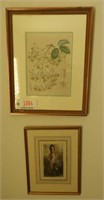 Framed floral etching by L. Reeve and Co. and