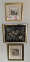 (2) Framed color etchings and one framed fruit