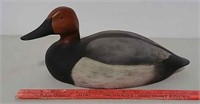 Canvass back duck decoy