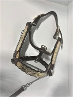 Western Show halter with lead