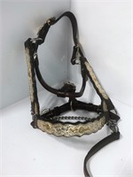 Western Show halter with lead