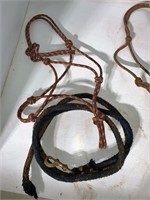 3 rope halters & 3 leads