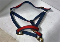 halter with lead