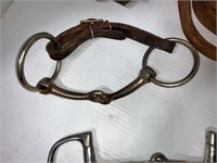 leather reins, chin strap, d-ring and
