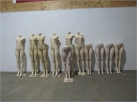 (Qty - 11) Female Mannequins-