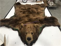 Full-size bear rug