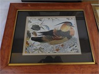 (4) Framed prints: Harlequin duck in Birdseye