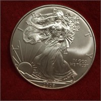 2008 Silver Eagle