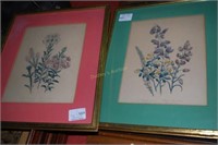 3 Botanical Framed Prints & NC Historical Document
