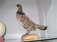 2X$ Stuffed And Mounted Grouse