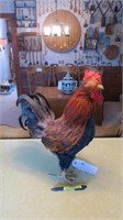 Kitchen rooster, 19" H.