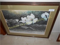 Framed and Matted Magnolia Blossum Print