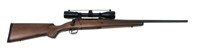 Savage Axis .30-06 SPRG bolt action rifle,