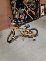 Bike with training wheels