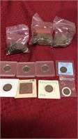 Indian Head & Wheat Pennies Collection
