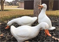 Three Ceramic Yard Ducks