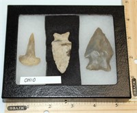 case with 3 Ohio Native American projectile points
