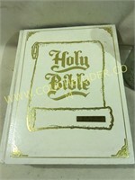 Very nice vintage Family bible with color prints