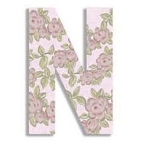 Stupell Industries OHI-111-N Pink Roses on Pink 18